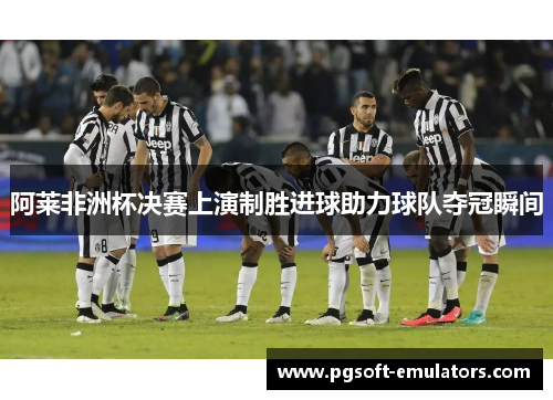 阿莱非洲杯决赛上演制胜进球助力球队夺冠瞬间